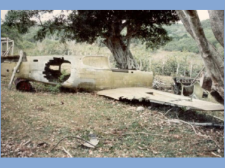 05 P-40F front far 2.jpg